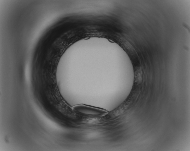 X0000098110764200804251427