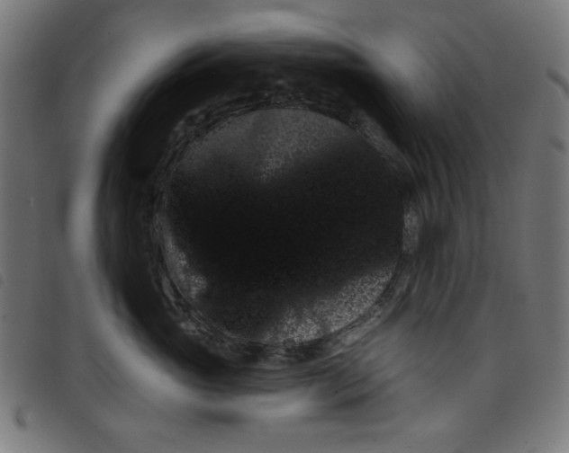 X0000098110765200804251427