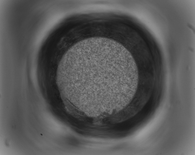 X0000098110766200804251427