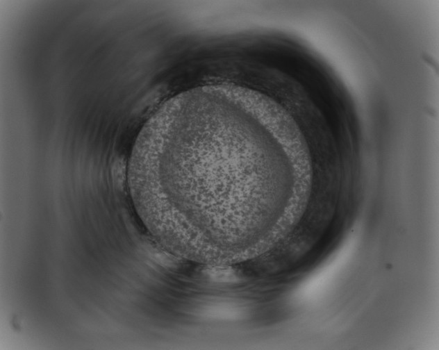 X0000098110767200804251427