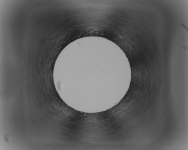 X0000098110769200804251427