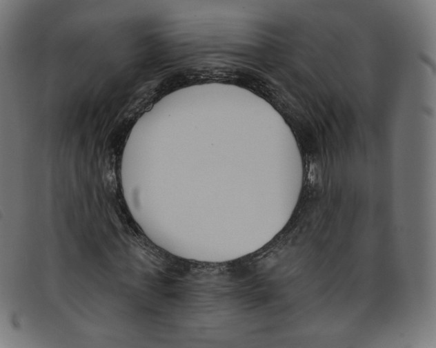 X0000098110771200804251427