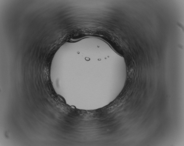 X0000098110772200804251427