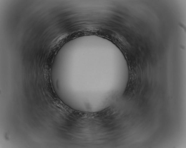 X0000098110773200804251427