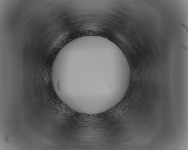 X0000098110774200804251427