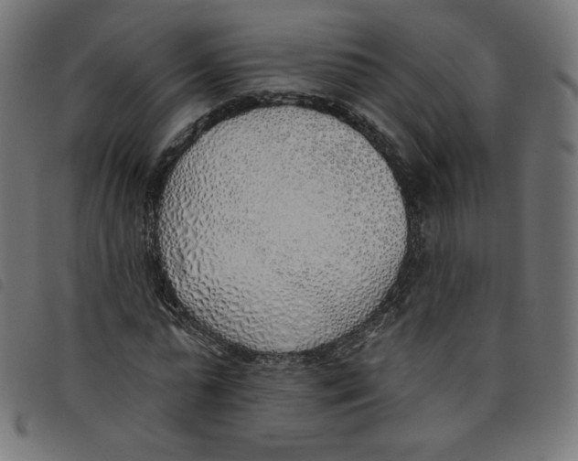 X0000098110775200804251427