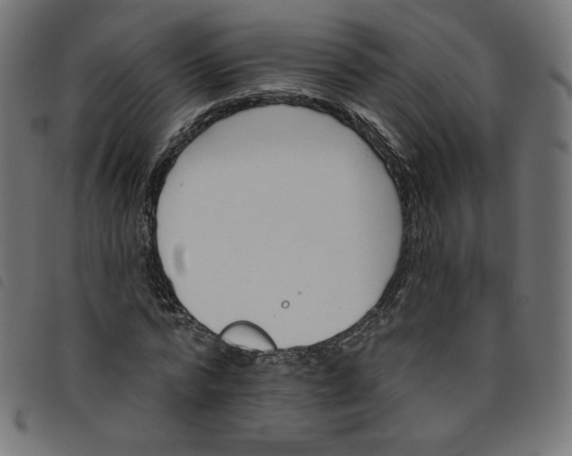 X0000098110776200804251427