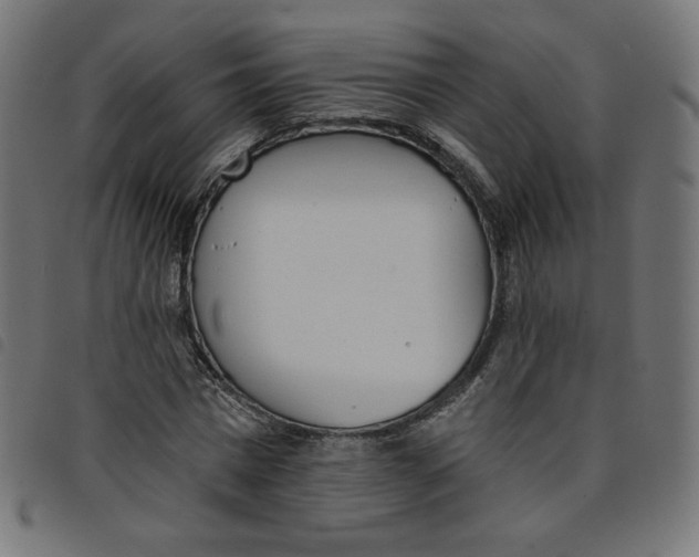 X0000098110777200804251427