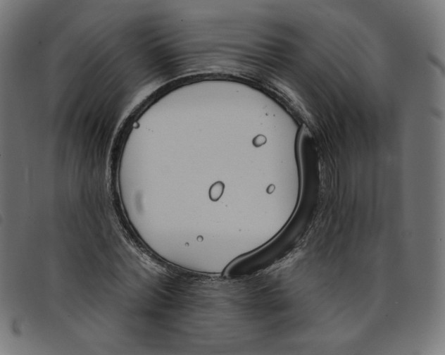 X0000098110780200804251427