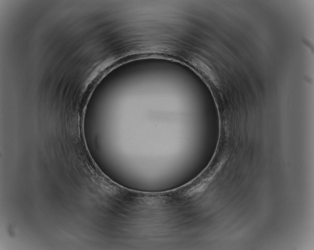 X0000098110781200804251427