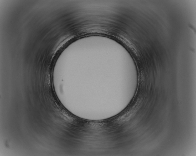 X0000098110782200804251427