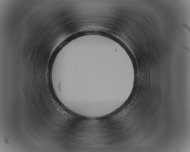 X0000098110783200804251427