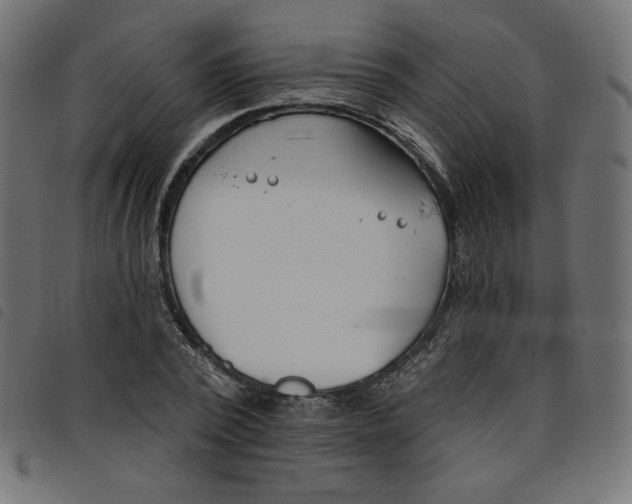 X0000098110784200804251427