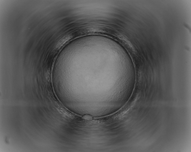 X0000098110785200804251427