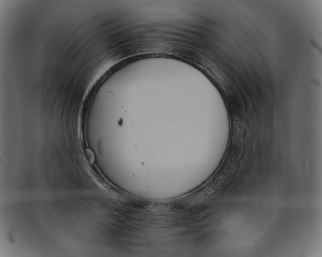 X0000098110788200804251427