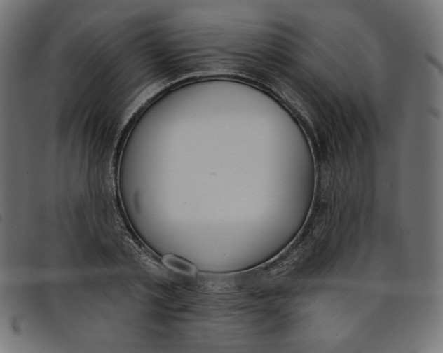 X0000098110789200804251427