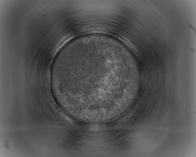 X0000098110790200804251426