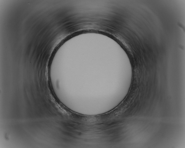 X0000098110791200804251426