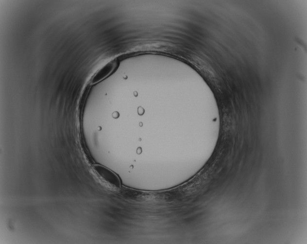 X0000098110792200804251426