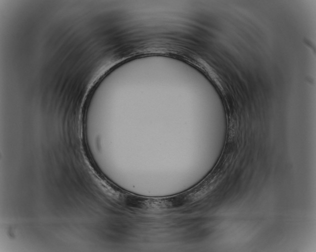 X0000098110795200804251426