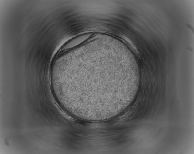 X0000098110796200804251426