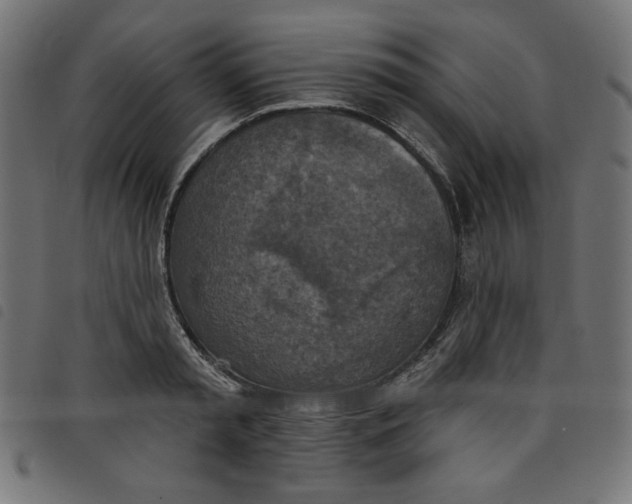 X0000098110797200804251426