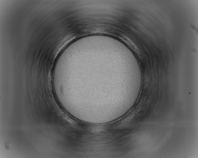 X0000098110798200804251426