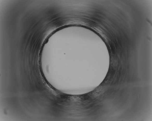 X0000098110799200804251426