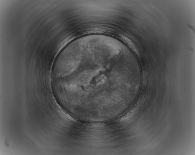 X0000098110802200804251426