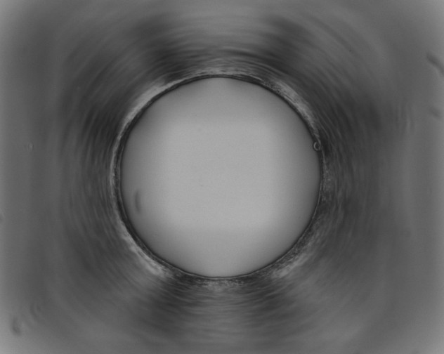 X0000098110803200804251426