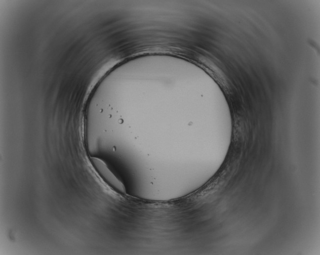 X0000098110804200804251426