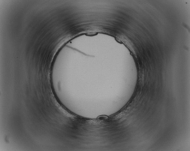 X0000098110805200804251426