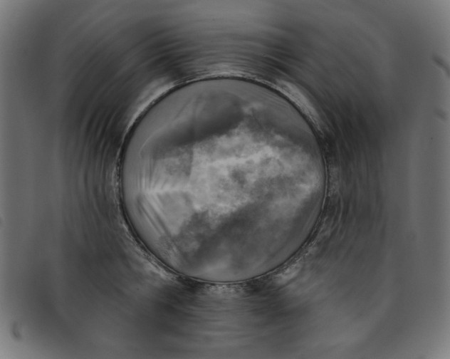 X0000098110806200804251426