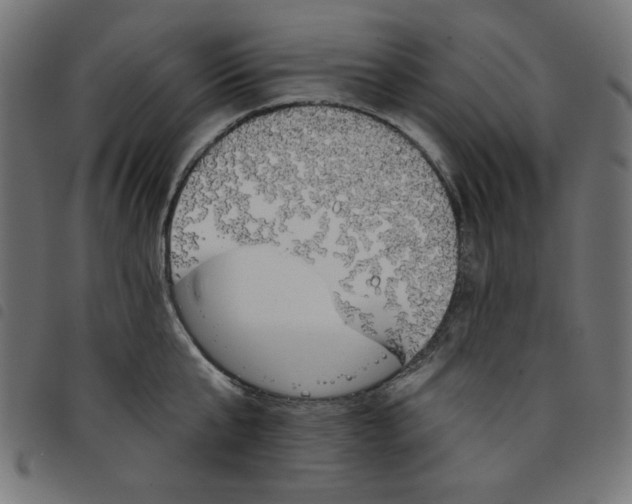 X0000098110807200804251426