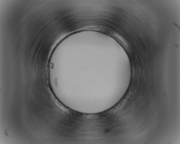 X0000098110808200804251426