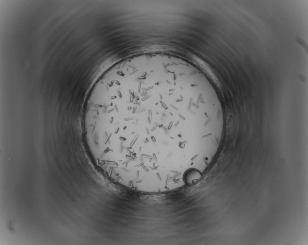 X0000098110810200804251426