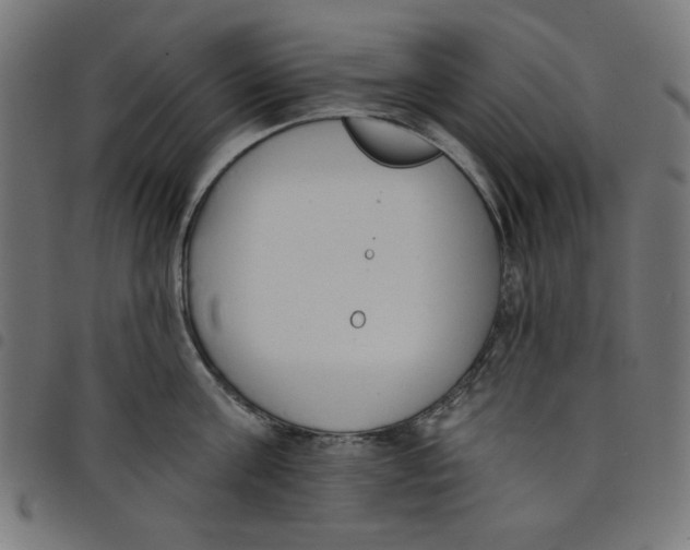 X0000098110811200804251426