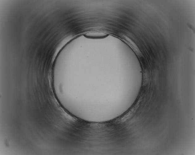 X0000098110812200804251426