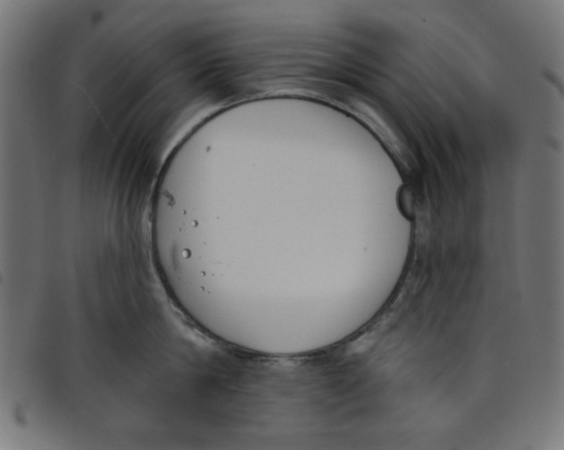 X0000098110814200804251426