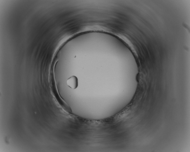 X0000098110815200804251426