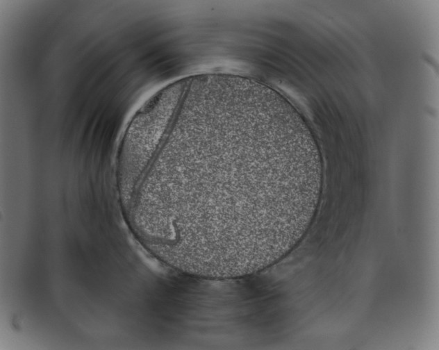 X0000098110816200804251426