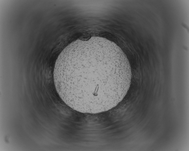 X0000098110818200804251425