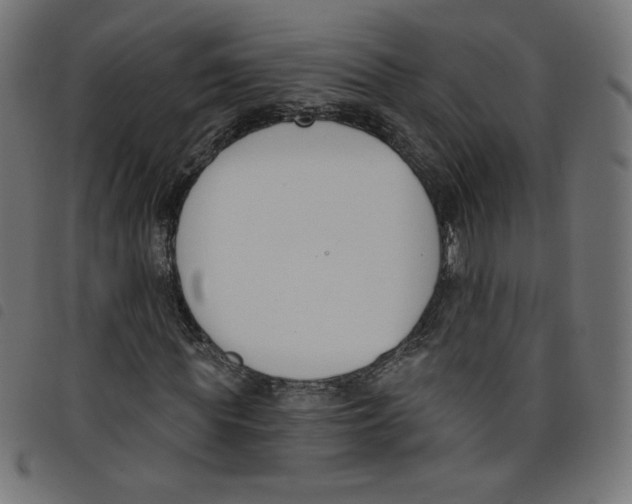 X0000098110819200804251425