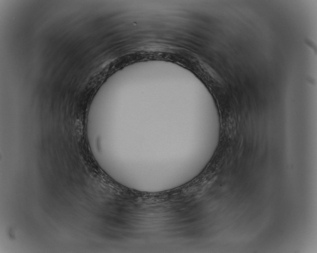 X0000098110821200804251425