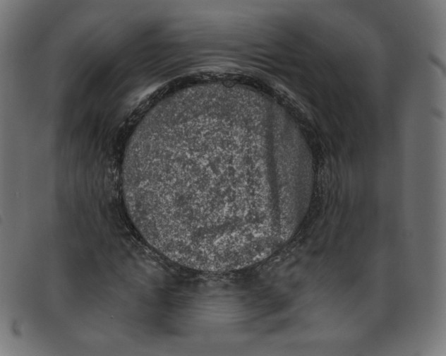 X0000098110822200804251425