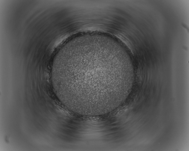 X0000098110823200804251425