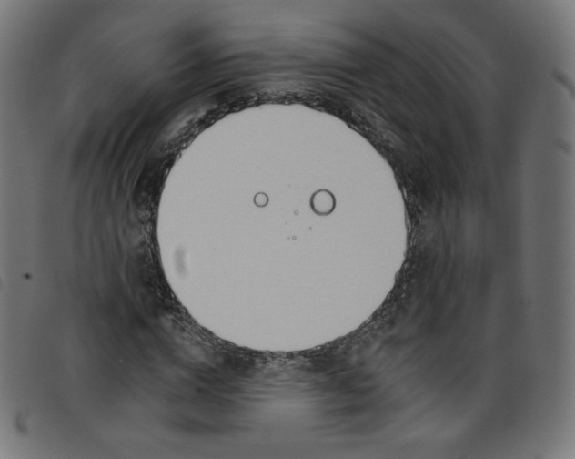 X0000098110824200804251426