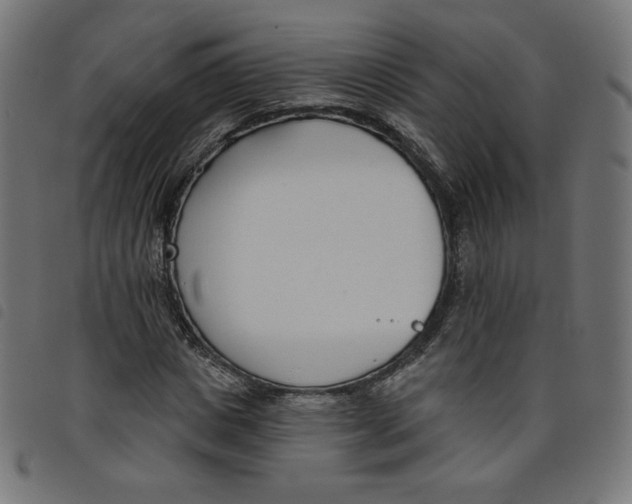 X0000098110825200804251426