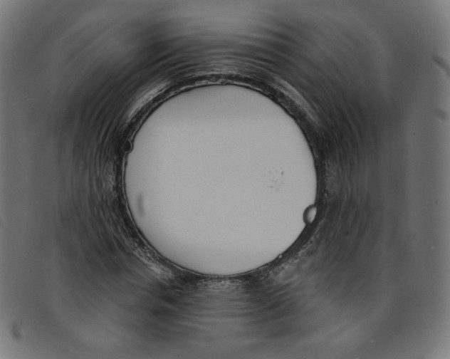 X0000098110826200804251426