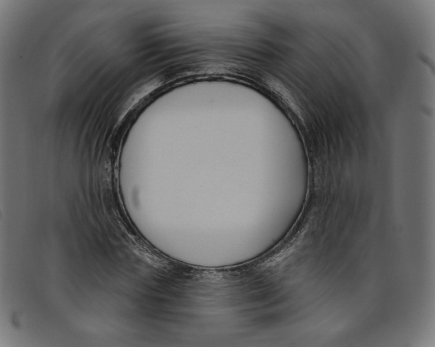 X0000098110827200804251426